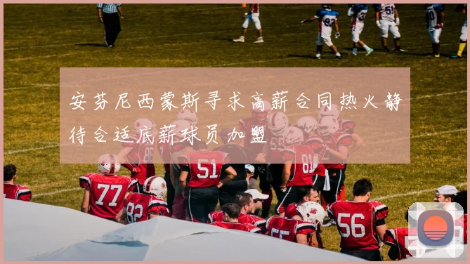 安芬尼西蒙斯寻求高薪合同热火静待合适底薪球员加盟